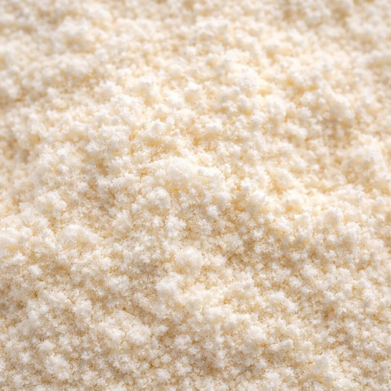 Collagen for Dogs: Supporting Joint Health, Mobility, and Longevity