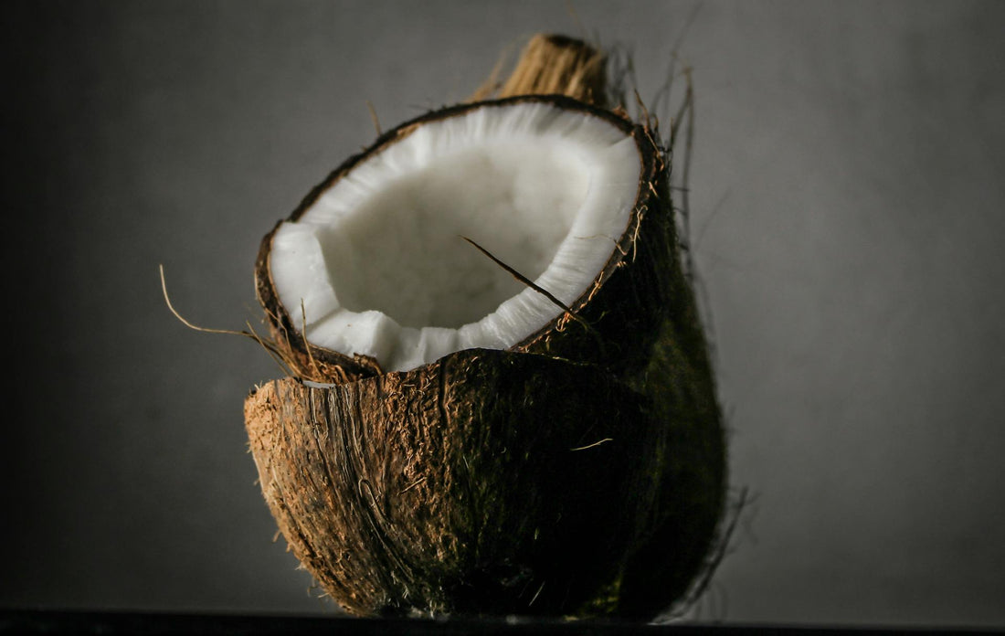 A picture of coconuts, a source of MCT Oil for dogs