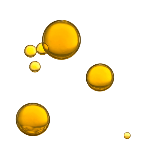 algae oil