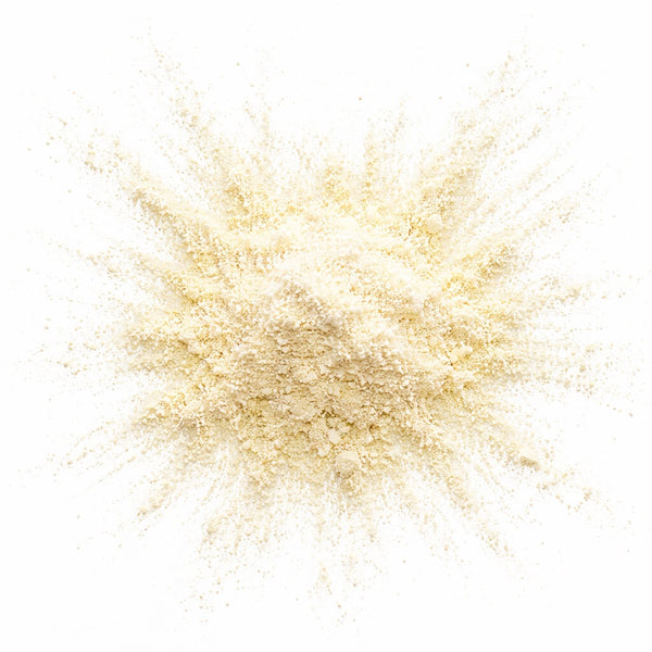 undenatured collagen