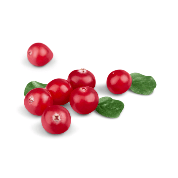 cranberry